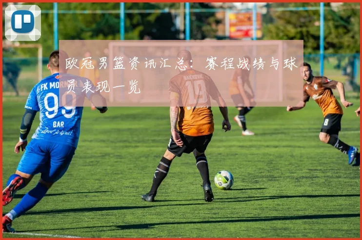 欧冠男篮资讯汇总：赛程战绩与球员表现一览