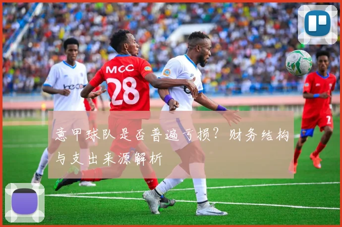 意甲球队是否普遍亏损？财务结构与支出来源解析