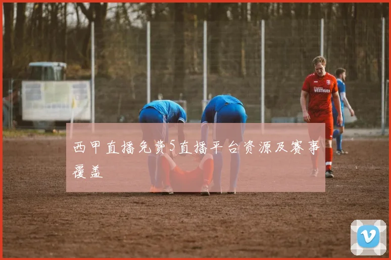 西甲直播免费5直播平台资源及赛事覆盖