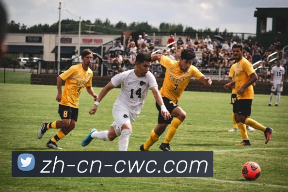 世界杯买球服务体系